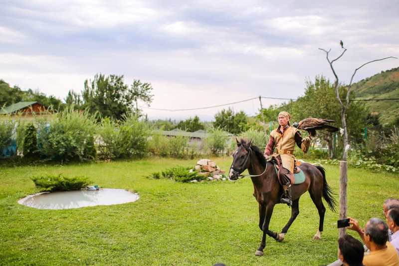 Falcon Farm Almaty