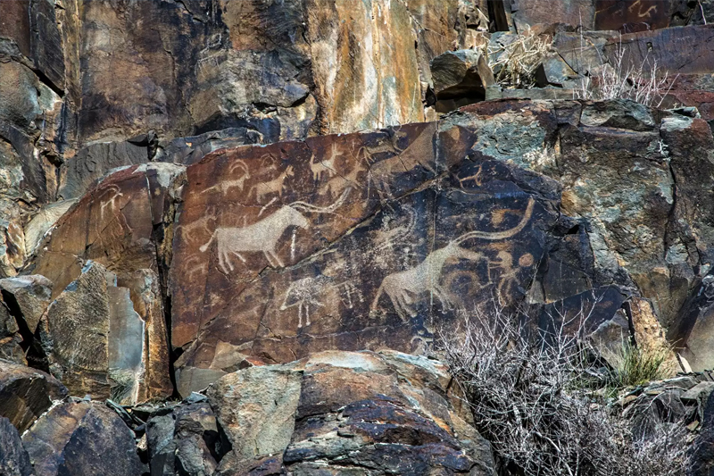 Tamgali Rock Carvings Day Trip